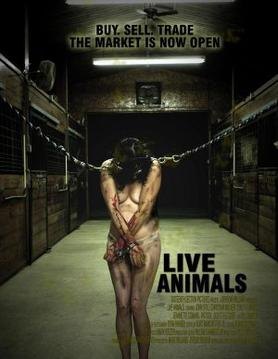 Animal